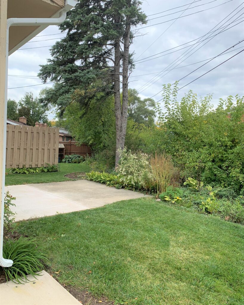 3212 Melody Lane backyard patio