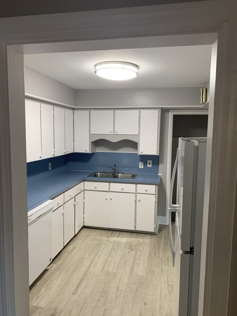 553 Gunson St kitchen