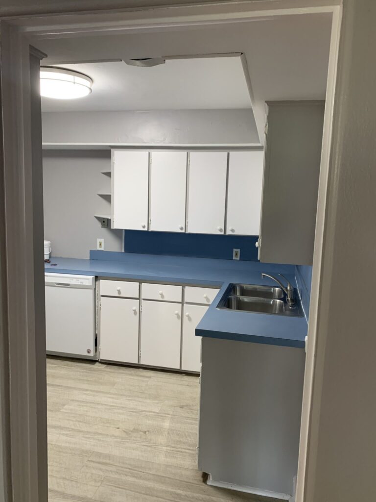 553 Gunson St kitchen sink